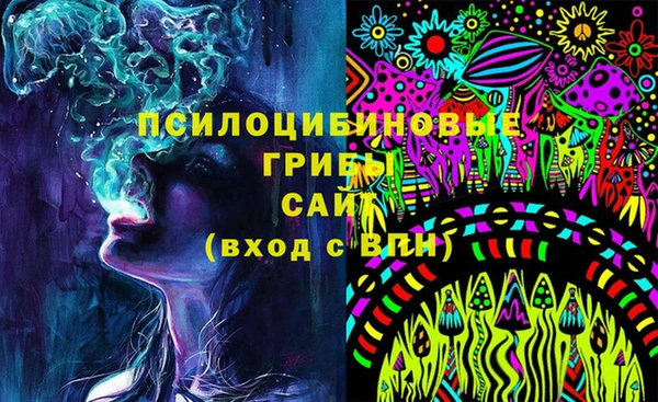 ешки Алзамай