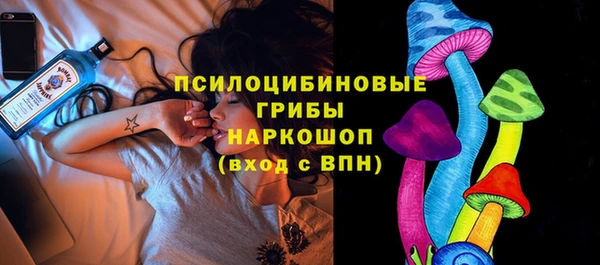 гашик Алексеевка