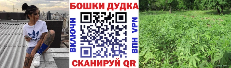 Конопля Ganja  Новошахтинск 